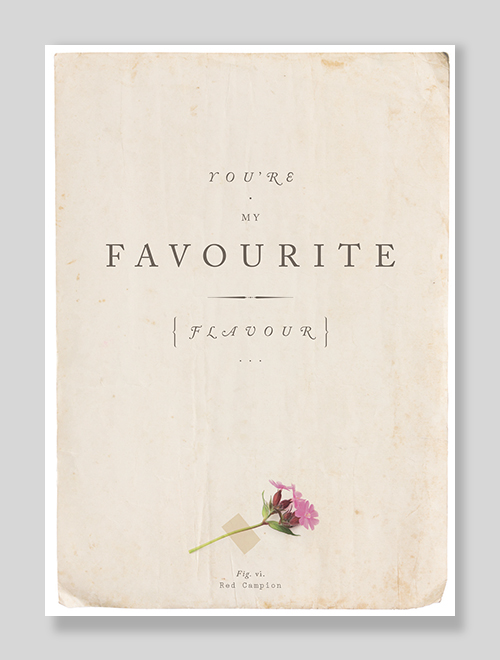 You're My Favourite Flavour Erotic Sexy greeting card