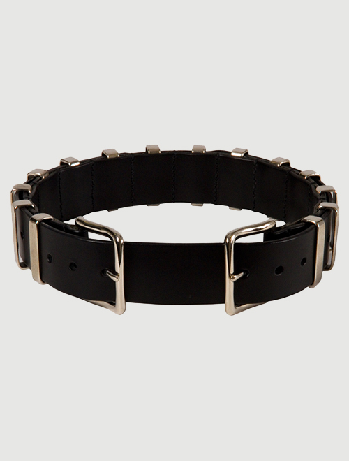 Blade Belt by Tamzin Lillywhite